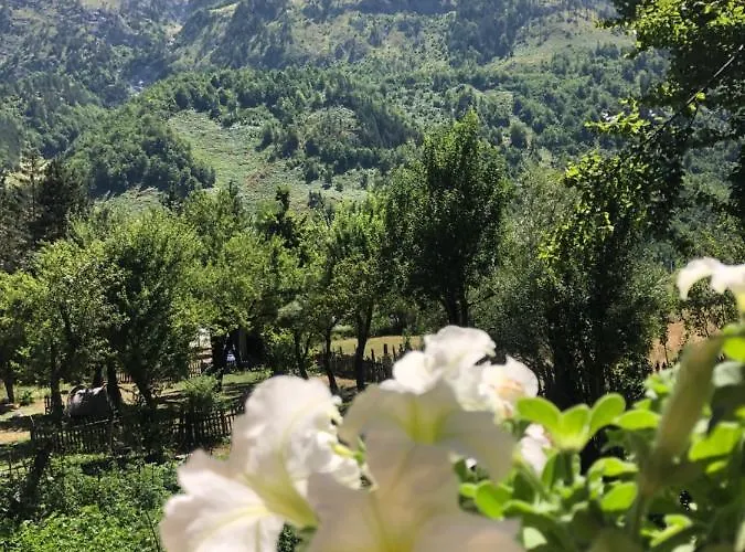 Ledio Pensión 3*